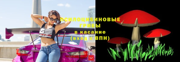 первитин Нея