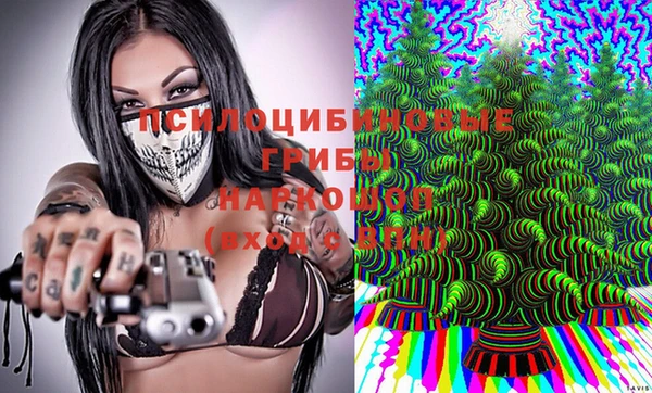 первитин Нея